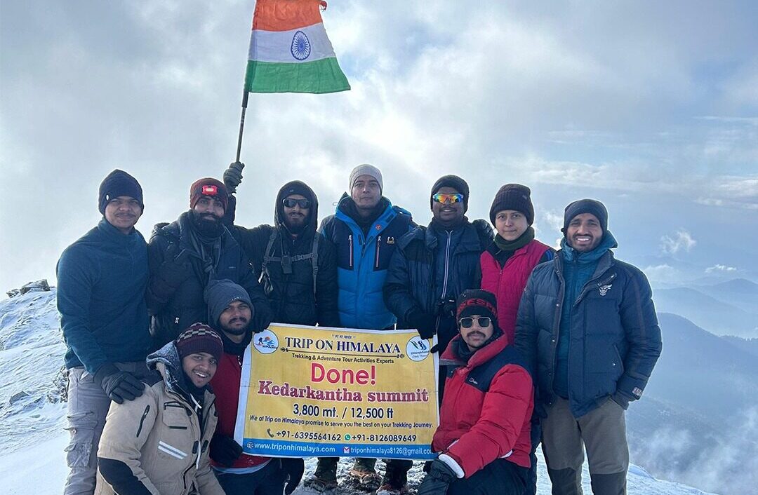 Group of trekkers climbing the Kedarkantha Trek amidst dense pine forests.