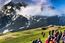 Adventure trekking trail through pine forests on Sar Pass route